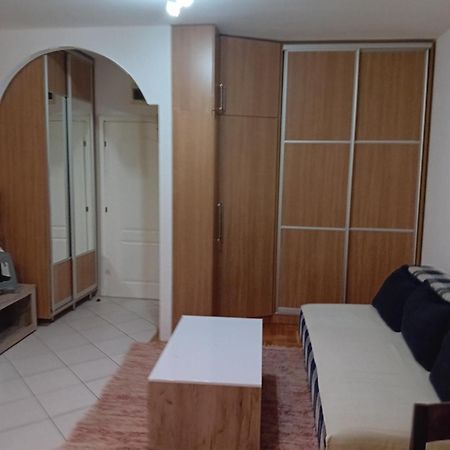 Apartman,,Siv,, Prijevor ブドヴァ エクステリア 写真